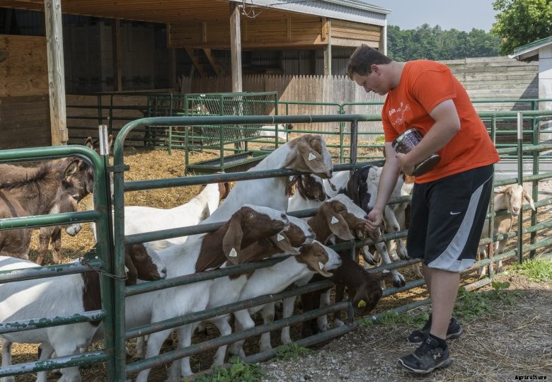 Agritourism-Ohio-Feeding-Goats